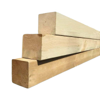 先围 垫木条 60*60*1700mm 根