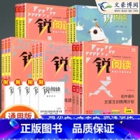 现代文阅读巅峰训练 七年级/初中一年级 [正版]锐阅读初中语文阅读训练五合一七年级八年级九年级中考现代文阅读理解训练10