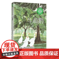牛和鹅(新版·小学语文同步阅读书系) 长江文艺出版社