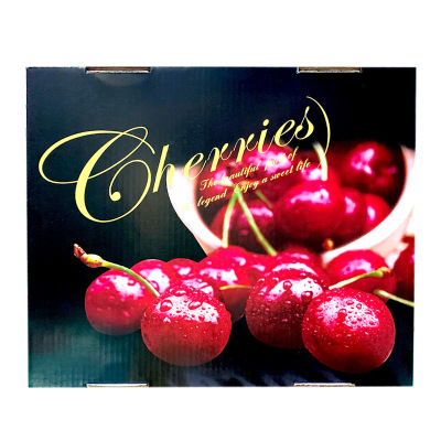 礼盒装[熊猫鸟]顺丰空运 智利进口车厘子 J 净重5斤装 应季车厘子 新鲜水果 酸甜可口