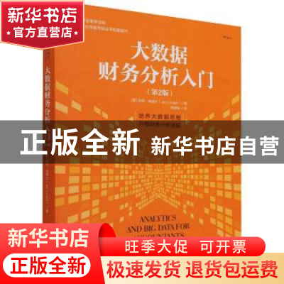 正版 大数据财务分析入门 [美]吉姆·林德尔 中国人民大学出版社 9