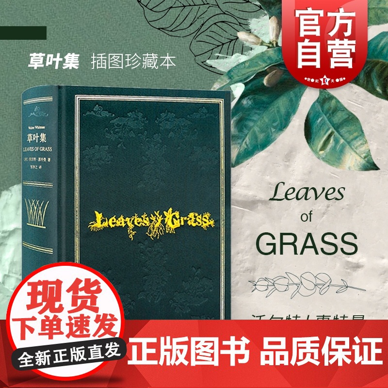 草叶集 精装插图本 沃尔特惠特曼 叛逆者 朱一龙 完美复刻1855版草叶集原版装帧 外国诗歌 美国诗歌 外国文学 上海