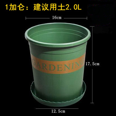 矮胖加仑盆弹痕多肉绿萝塑料花盆园艺种菜种花室内圆形月季花盆大号盆1加仑花盆10个装（不含托盘）买10送2大