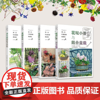 生活-[全4册]第一次打造花园就成功花坛小景与组合盆栽花园手作的100个技能花园盆栽100个技巧杂木庭院井上真由美庭院设