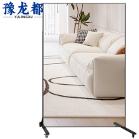 豫龙都镜子可移动个