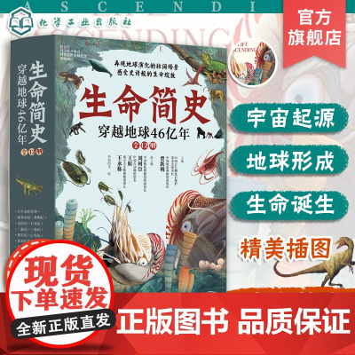 全12册 生命简史 穿越地球46亿年 6-12-15岁儿童中小学生青少年科普读物 宇宙起源地球形成生命诞生史前世界探索图