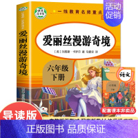 六下]爱丽丝漫游奇境 [正版]快乐读书吧六年级上册下册课外阅读书爱的教育小英雄雨来童年鲁滨孙漂流记汤姆索亚历险记爱丽丝漫