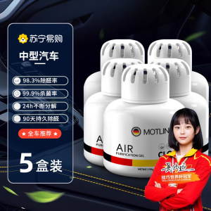 [5盒装]新车除甲醛除异味车内专用空气净化器汽车车载去味除臭清除剂神器