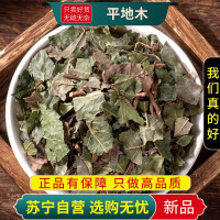 甄选矮地茶100克平地木不出林紫金牛平地木正品干货煮水泡茶官方店