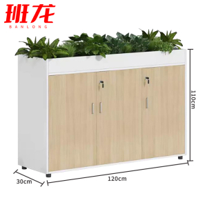 班龙