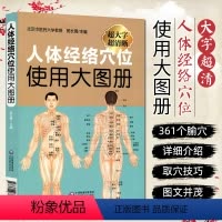 [正版] 人体经络穴位使用大图册 主编 郭长青 人体穴位经络图全身穴位美体针灸艾灸推拿保健 中国医药科技出版社9787