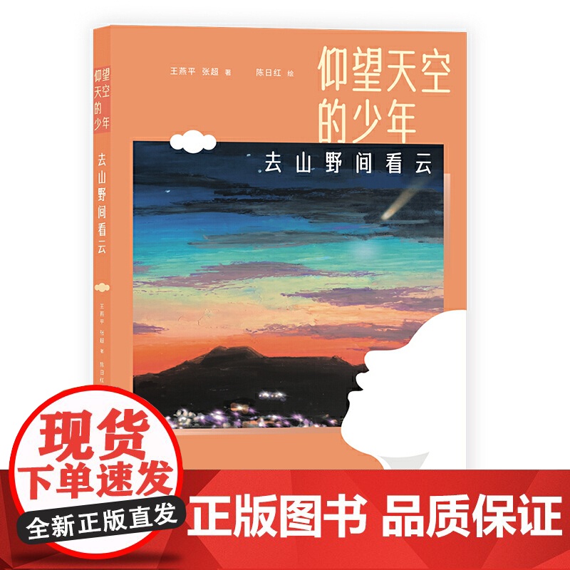 仰望天空的少年:去山野间看云