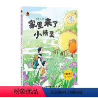 家里来了小精灵 [正版]家里来了小精灵 顾鹰爱·想系列 儿童成长文学作品小学生父爱启蒙治愈课外阅读小学生语文趣味课外书三