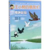 音像枯叶翅膀杨宝利 著