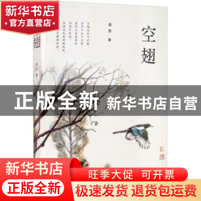 正版 空翅 菡萏著 中国华侨出版社 9787511382603 书籍