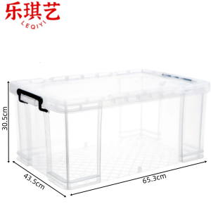 乐琪艺