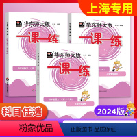 语数英-普通+增强版(共6册) 四年级上 [正版]2024一课一练上海四年级上下册同步练习册全套语文数学英语牛津版增强沪