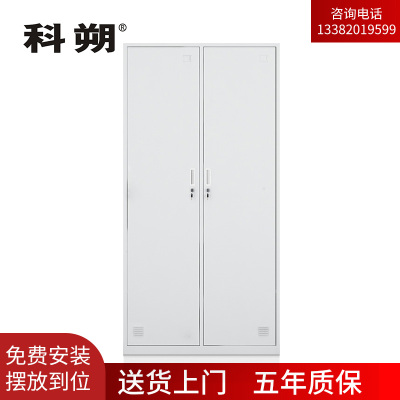 科朔 文件柜两门更衣柜钢柜钢制办公室更衣柜铁皮更衣柜储物柜KS-G020