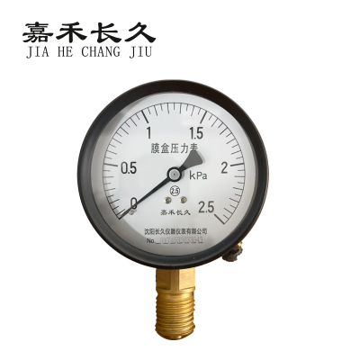 嘉禾长久 膜盒压力表检测型 YE60 块