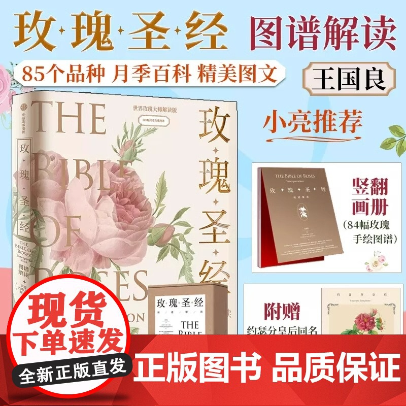 玫瑰圣经 图谱解读 王国良等著 无穷小亮张辰亮 赠玫瑰香味装饰画 媲美艺术品的玫瑰科普书 中信出版社图书 正版书籍