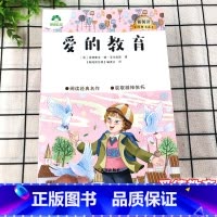 爱的教育 [正版]爱德教育大语文新阅读经典书系全册呼兰河传爱的教育三四五六年级课外阅读书阅读经典名作小学生青少年版课外书