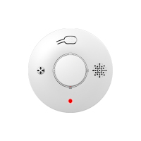 PGST 烟雾报警器 PG-S01 个