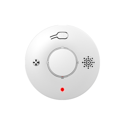 PGST 烟雾报警器 PG-S01 个