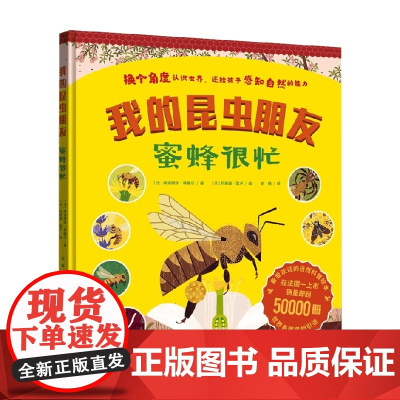 我的昆虫朋友 蜜蜂很忙 弗洛朗丝·蒂娜尔 著 科普百科