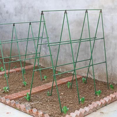 种菜架子豆角瓜爬藤架闪电客庭院葡萄架花园爬藤架子花支架户外攀爬架