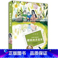 [正版] 鼹鼠的月亮河 王一梅童书 经典长篇童话 新蕾出版社 6-7-8-9-10-12岁课外读物