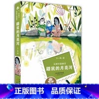 [正版] 鼹鼠的月亮河 王一梅童书 经典长篇童话 新蕾出版社 6-7-8-9-10-12岁课外读物