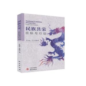 正版新书]民族共荣目标与行动尼加提.艾买提9787519907846