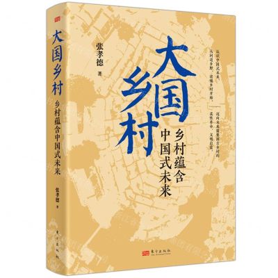 [N]大国乡村(乡村蕴含中国式未来)-9787520737982