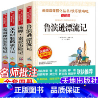 [四册]鲁滨逊漂流记+汤姆索亚历险记+尼尔斯骑鹅旅行记+爱丽丝漫游奇境记 [正版]鲁滨逊漂流记天地出版社名师导读带批注笛