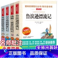 [四册]鲁滨逊漂流记+汤姆索亚历险记+尼尔斯骑鹅旅行记+爱丽丝漫游奇境记 [正版]鲁滨逊漂流记天地出版社名师导读带批注笛