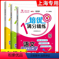 三年级上语数英 3本套装 [正版]交大之星 培优满分精练 语文数学英语 三本装 3年级上册/三年级第一学期 语数英思维训