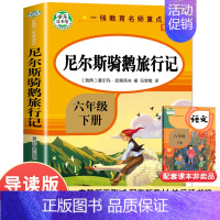 六下]尼尔斯骑鹅旅行记 [正版]快乐读书吧六年级上册下册课外阅读书爱的教育小英雄雨来童年鲁滨孙漂流记汤姆索亚历险记爱丽丝
