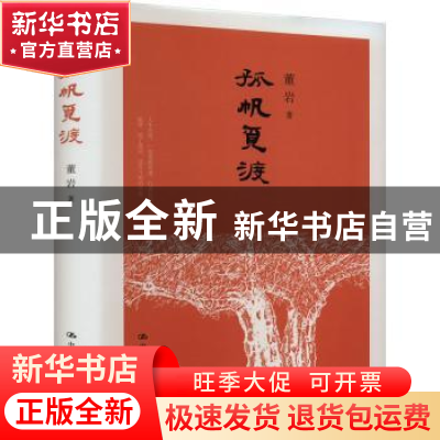 正版 孤帆觅渡 董岩著 中国人民大学出版社 9787300318332 书籍