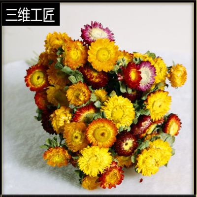 网红ins风干花花束雏菊七彩菊花文艺小清新客厅家居装饰拍摄道具三维工匠菠萝杆雏菊50朵花头干树枝
