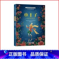 小王子 [正版]满29元小学基础阅读配套丛书注音美绘版——小王子(单册塑封)