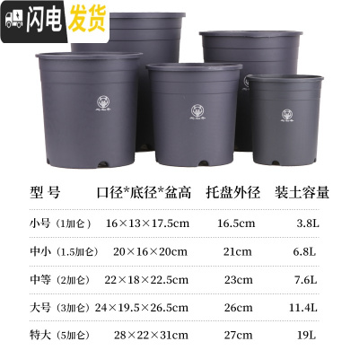 三维工匠加仑盆二代加厚塑料树脂多肉绿萝家用阳台种花月季盆栽控根大花盆 [3个装]灰色(单花盆) 大花盆容器