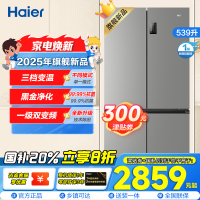 海尔(Haier)539L大容量三档变温黑金净化一级双变频WIFI智能联网旗舰新品 BCD-539WGHTDEDH9U1