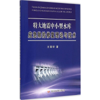 音像特大地震中小型水库应急除险修复理论与技术王丽学 著