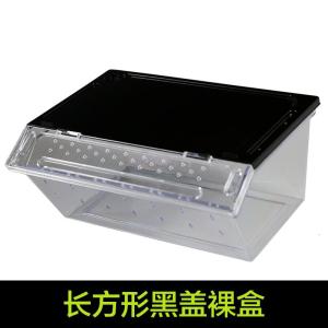 小号饲养箱塑料透明 蝎子守宫蜥蜴养殖箱 陆龟昆虫鸣虫饲养盒