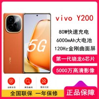 vivo Y200 赤橙 12GB+256GB 骁龙6 5G芯 6000mAh电池 44W充电 5000万高清影像 44W闪充 5G 手机 Y100