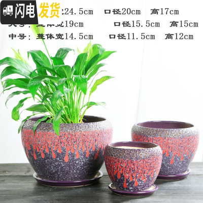 三维工匠加厚花盆陶瓷大号特大号带托盘绿萝盆景家用兰花多肉花盆 S1CZ-紫配红-单个 大花盆容器