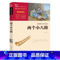 两个小八路 红色经典故事 [正版] 两个小八路 红色经典故事 青少年爱国主义教育读本中小学生课外阅读指导丛书 三四五六年