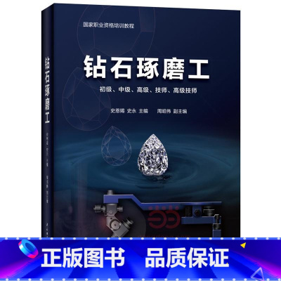 [正版]钻石琢磨工史恩赐 书考试书籍