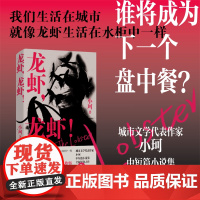 龙虾,龙虾! 小珂著 近现代文学中短篇小说书 江苏凤凰文艺出版社