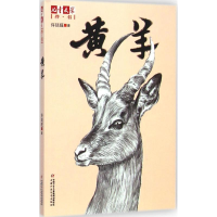 [M]黄羊-9787514820713
